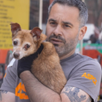 Police and ASPCA Raid Pet Grooming Business on East Gun Hill Road in Williamsbridge, No Arrests Reported